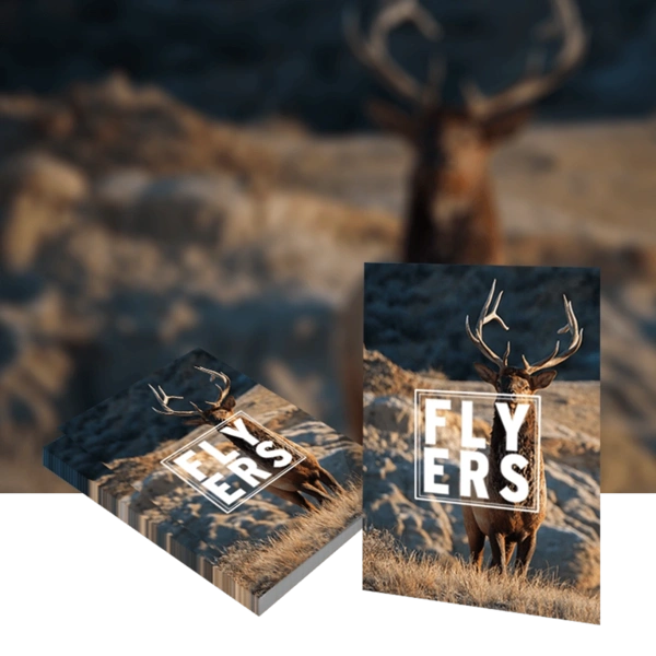 A5 Flyers 